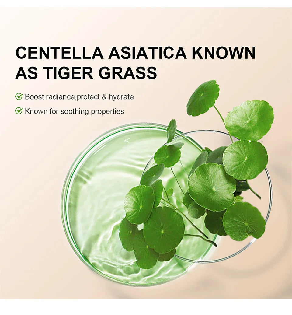 Centella Asiatica CC Cream | Color Correcting Makeup Primer | Waterproof, Anti-sweat Concealer & Lasting Foundation